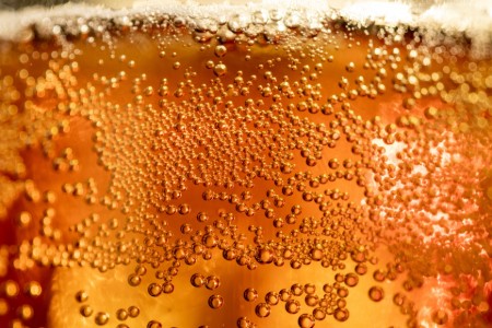 Picture for category Fermented