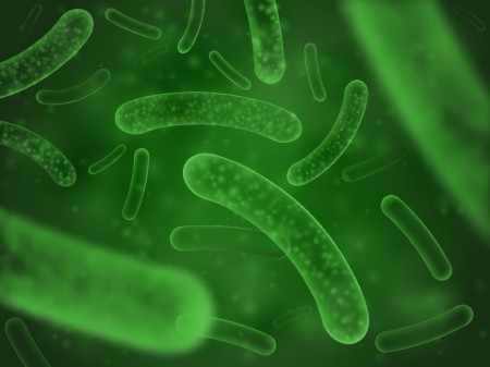 Picture for category Probiotics